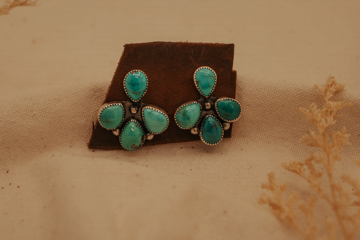 The Naomi Cluster Studs