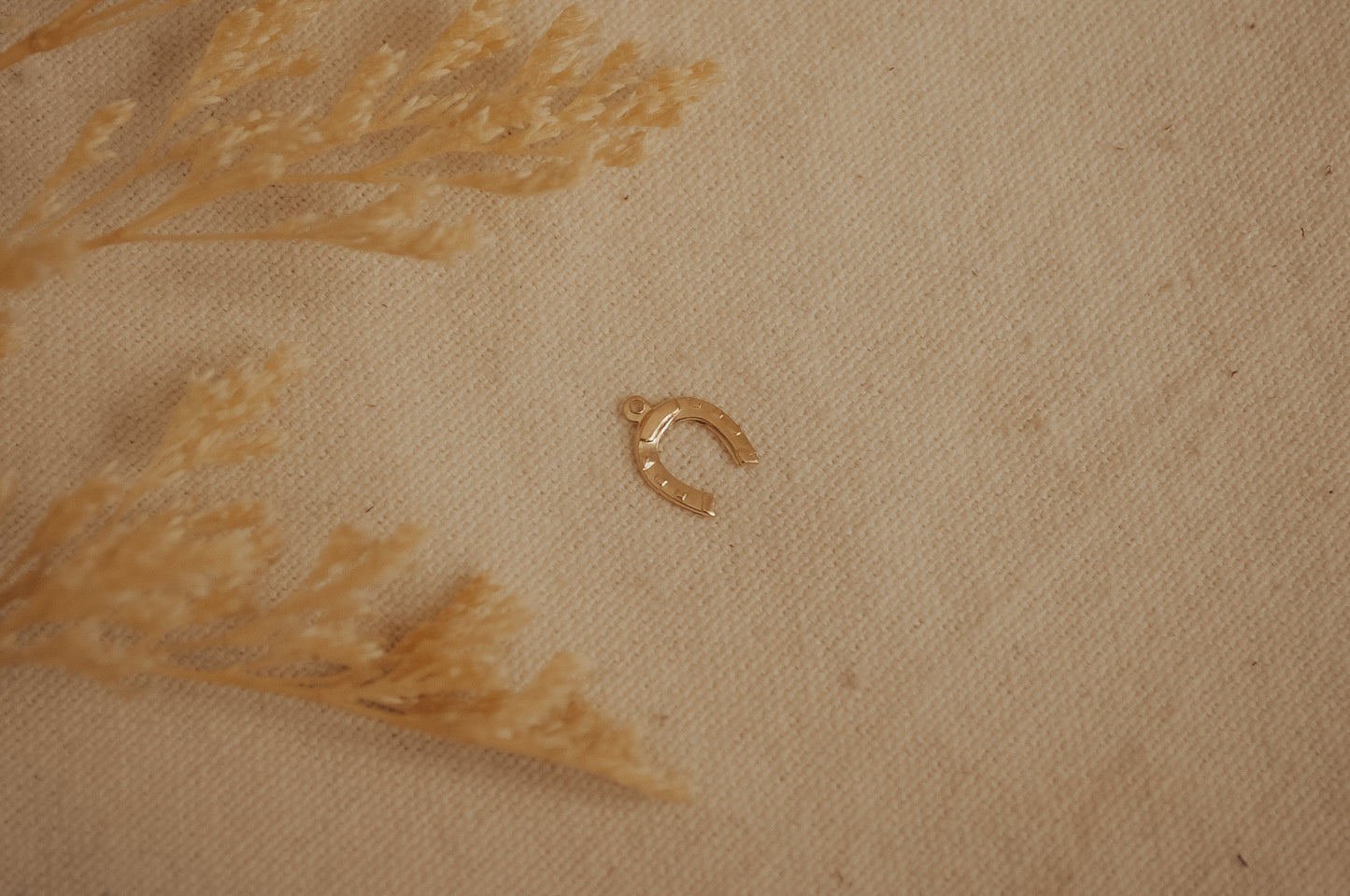 The Gold Fill Horseshoe Charm