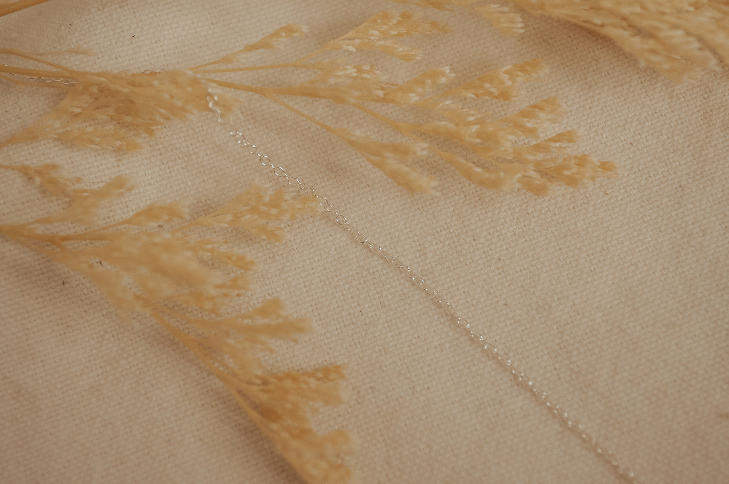 The Silver Dainty Chain