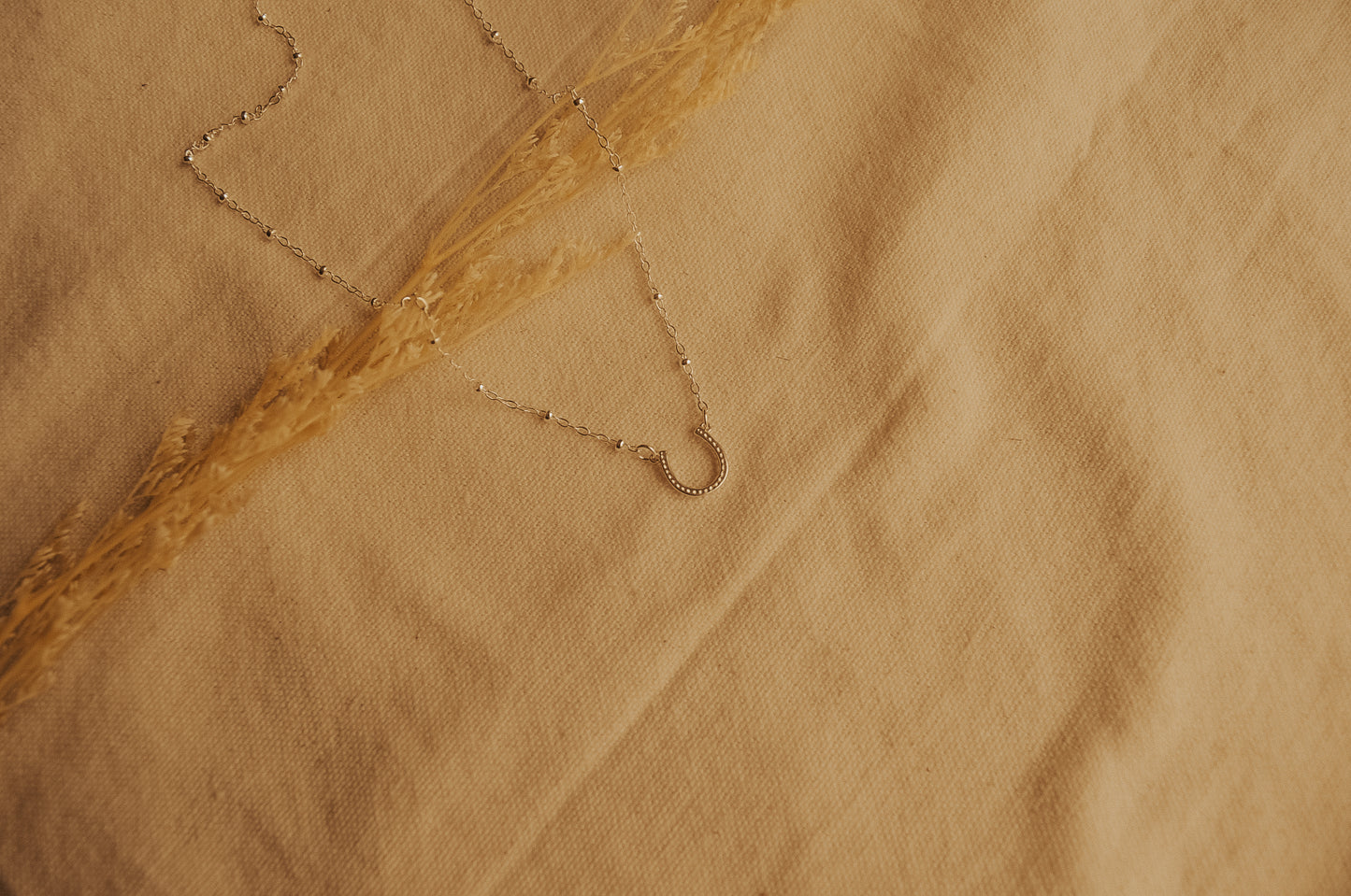 The Horseshoe Necklace