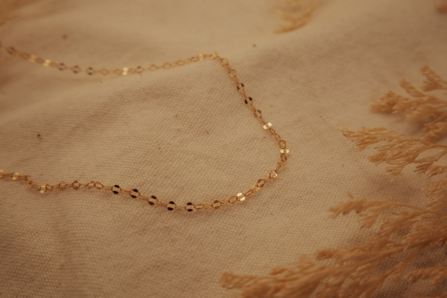 The Dapped Gold Chain