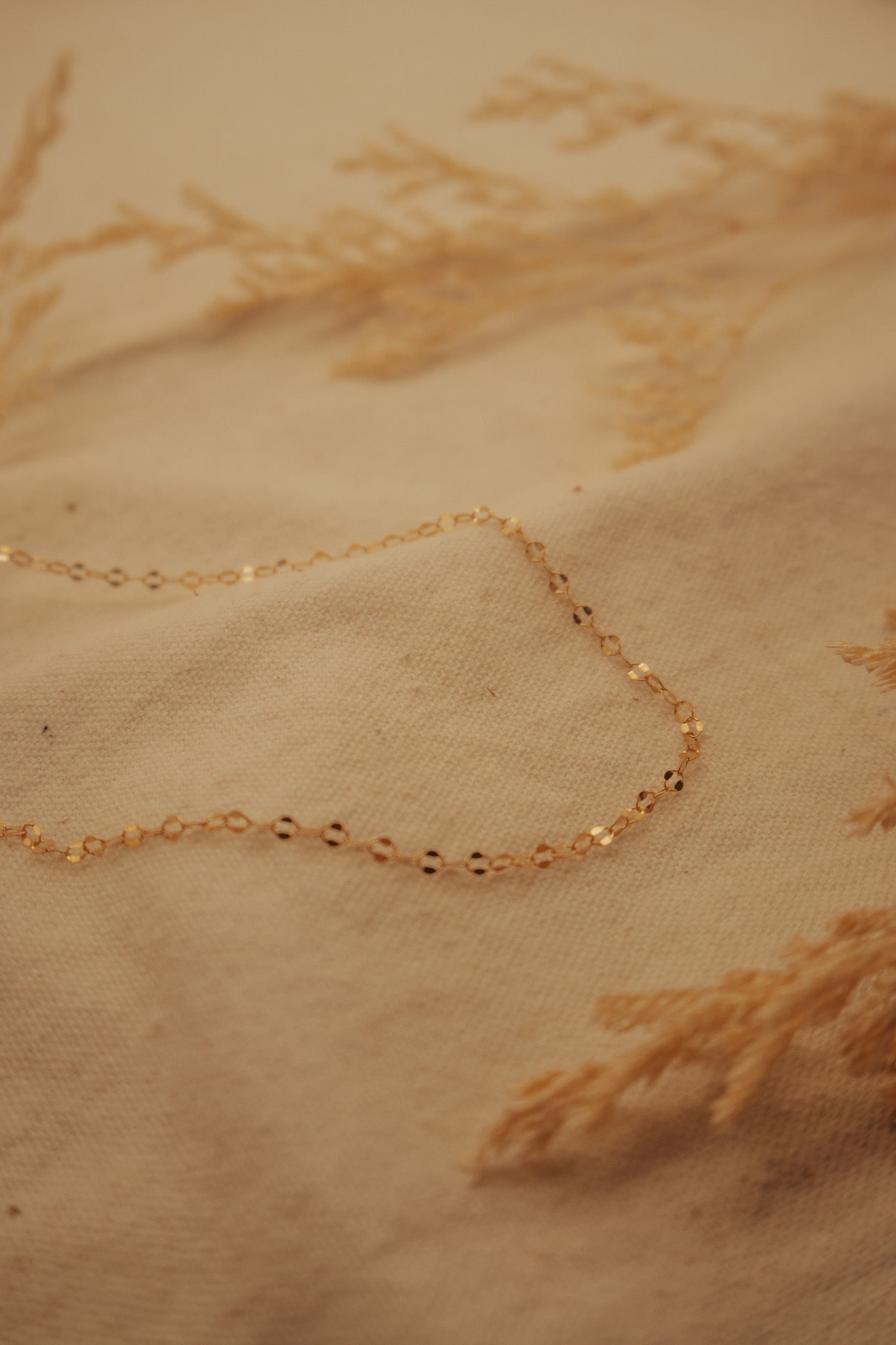 The Dapped Gold Chain