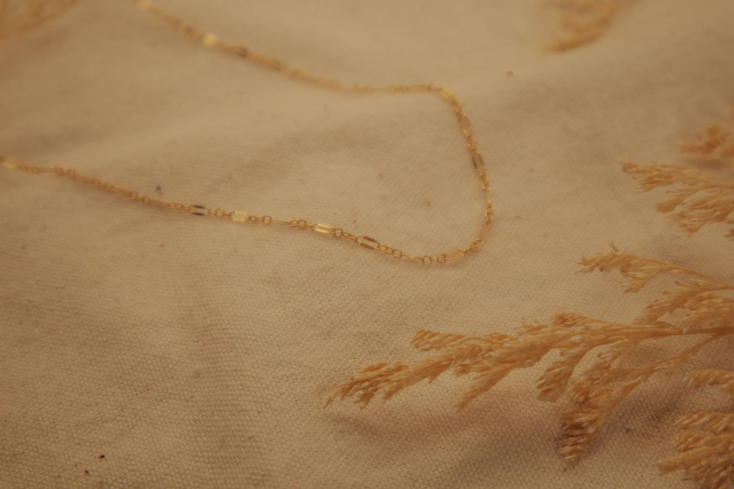 The Dapped Gold Chain