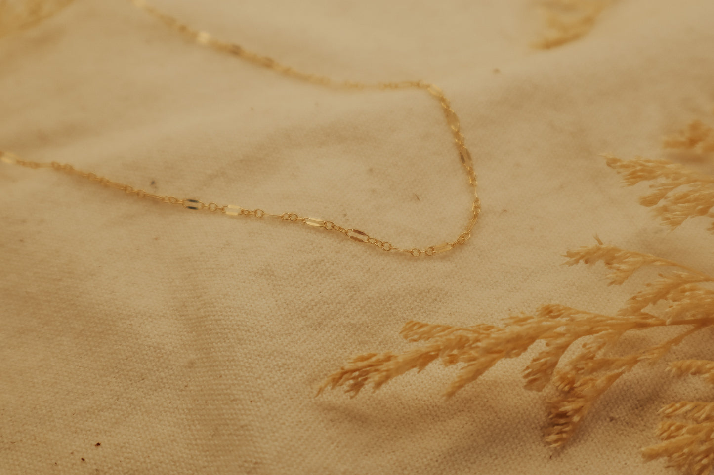 The Dapped Gold Chain