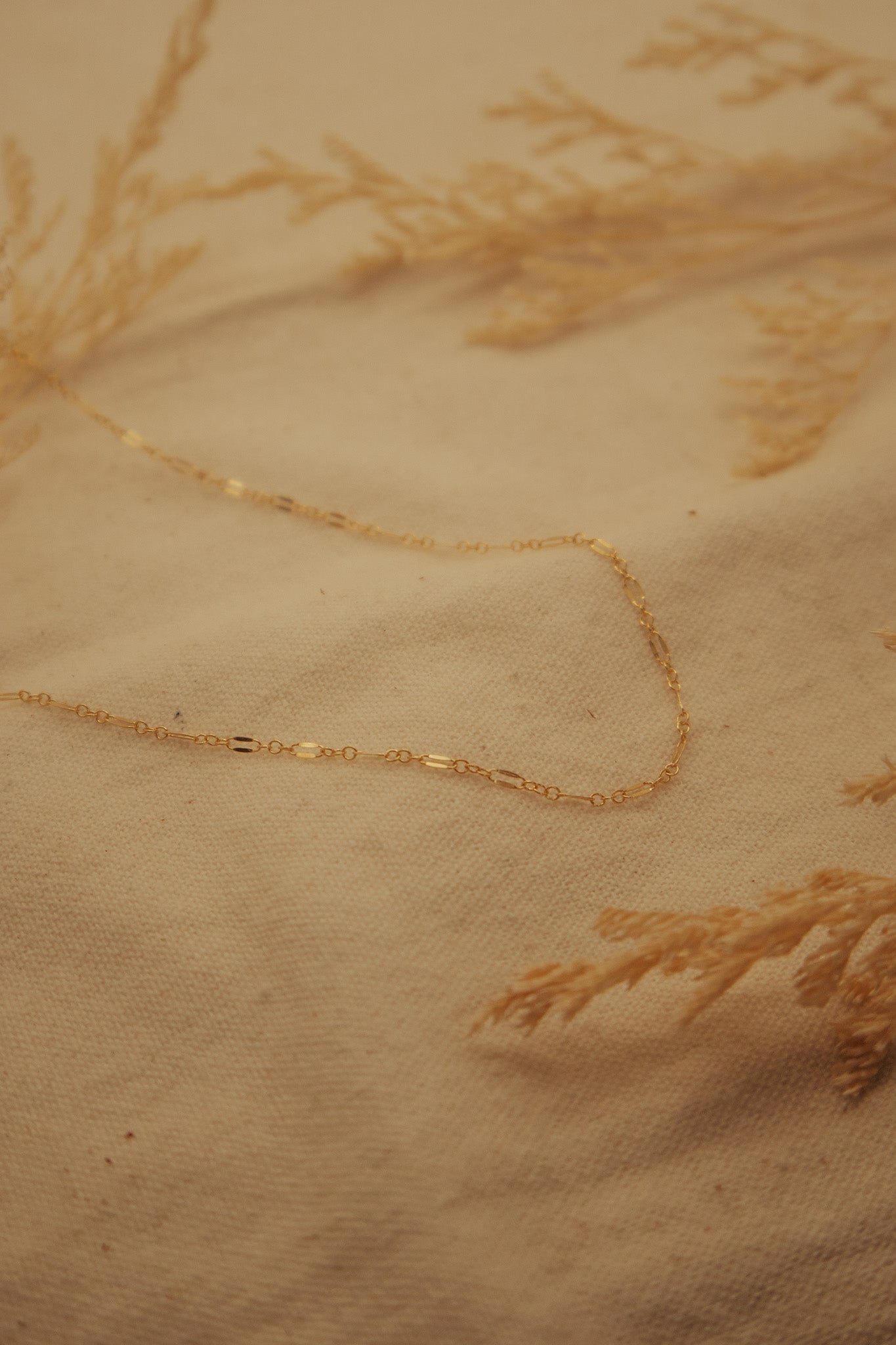 The Dapped Gold Chain