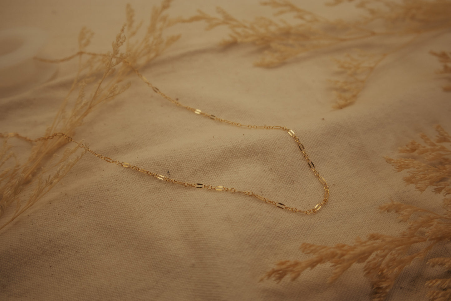 The Dapped Gold Chain