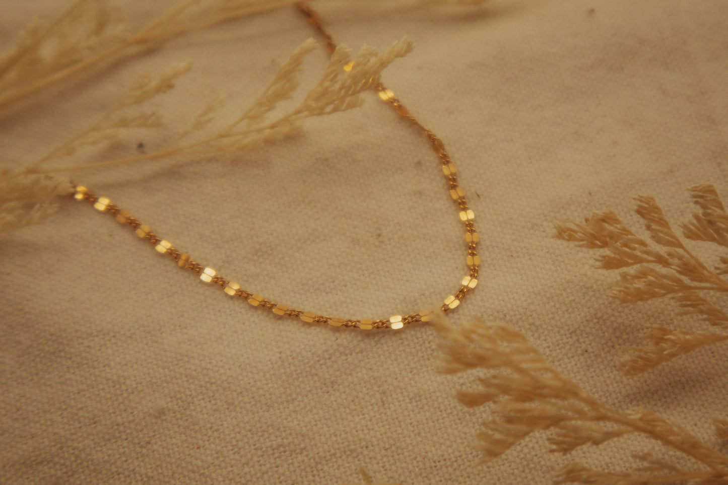 The Small Dapped Gold Chain