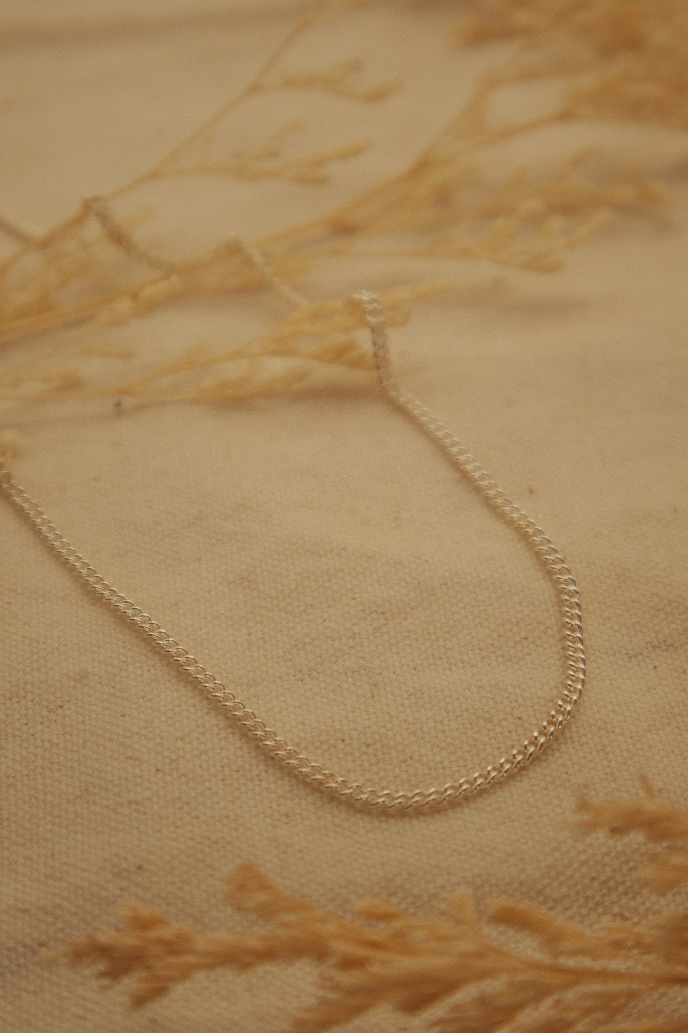 The Silver Curb Chain