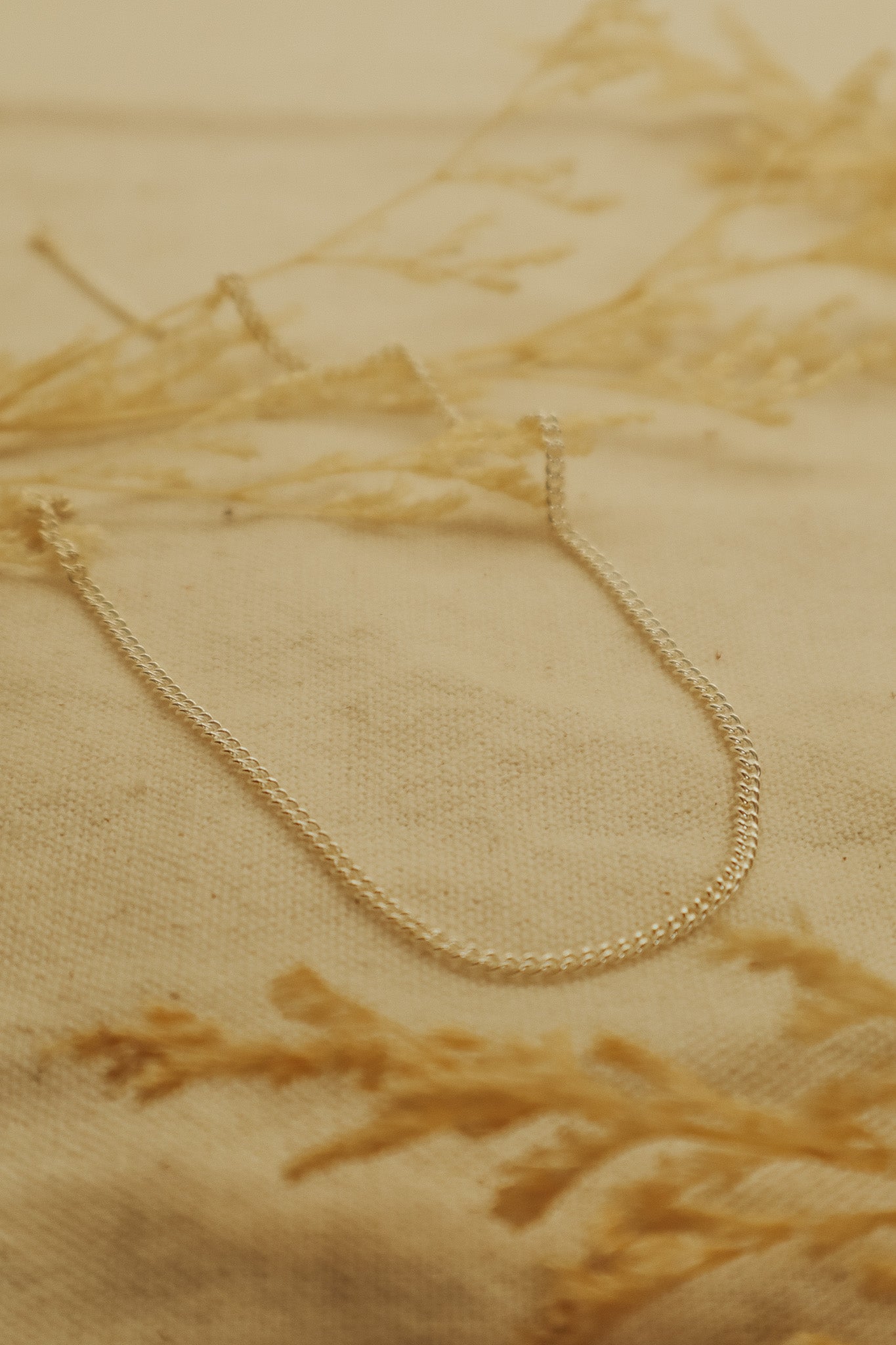The Silver Curb Chain