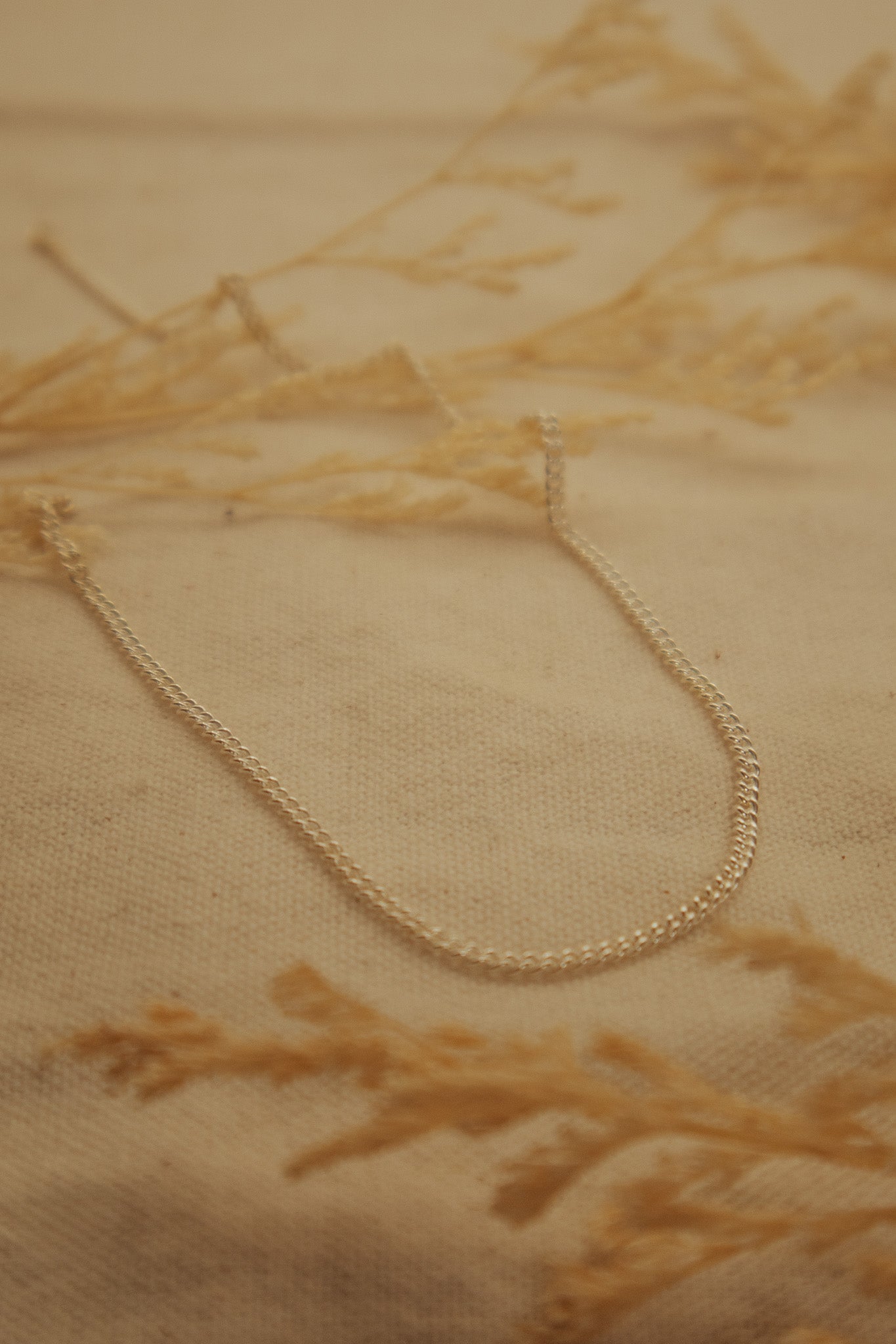 The Silver Curb Chain