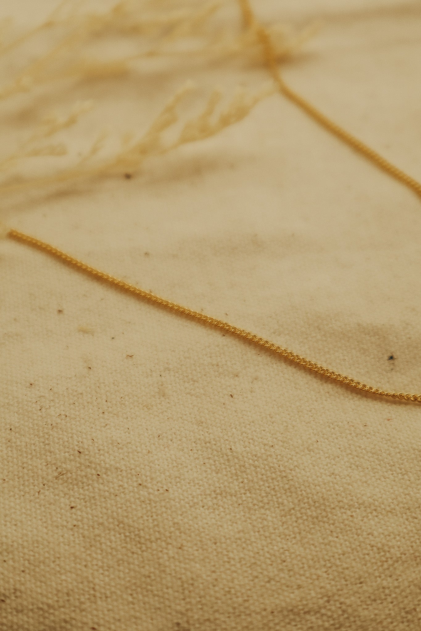 The Gold Curb Chain