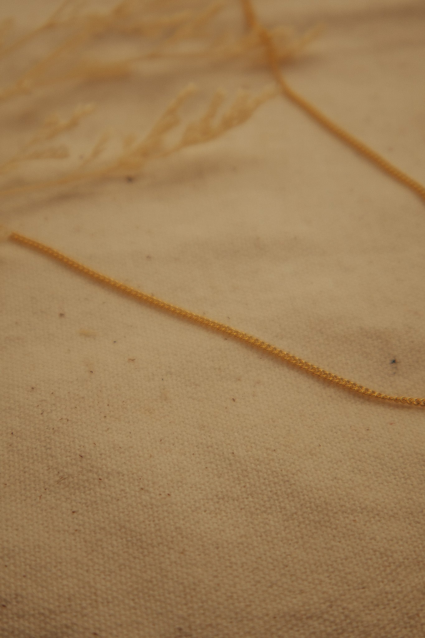 The Gold Curb Chain
