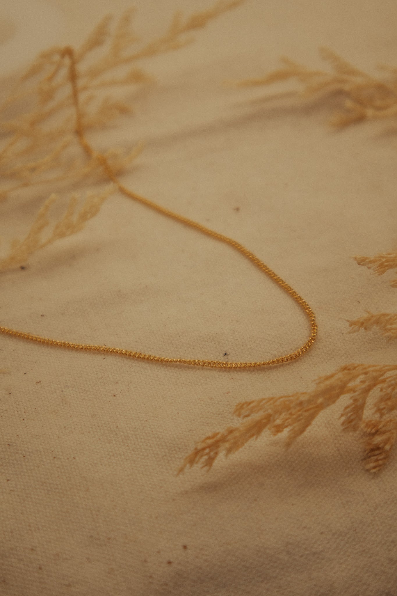 The Gold Curb Chain