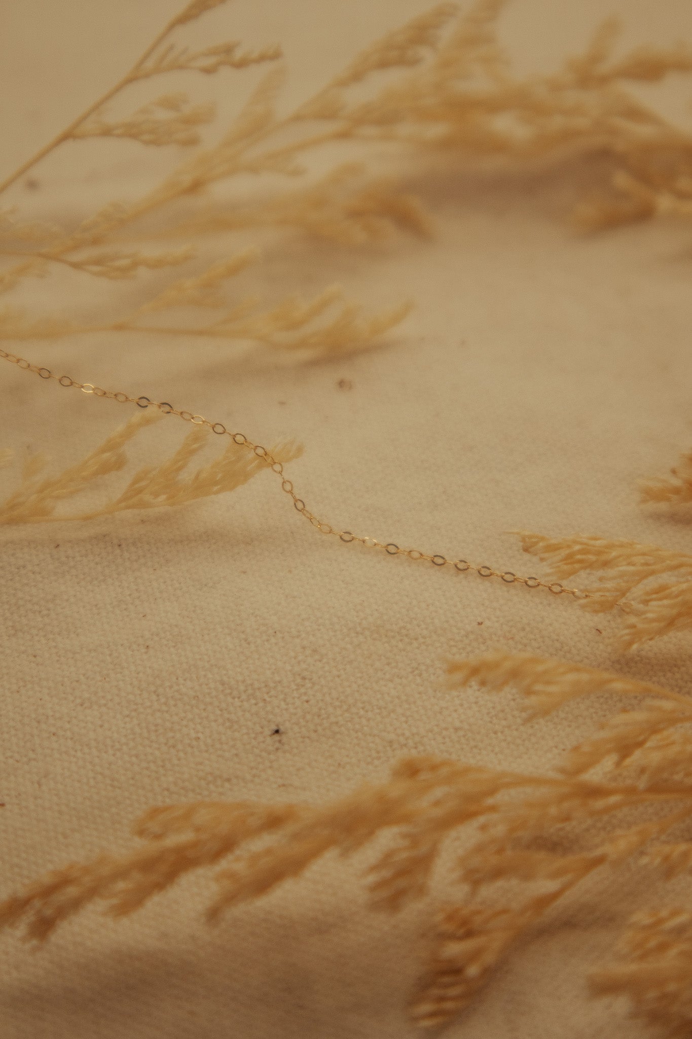 The Gold Fill Dainty Chain