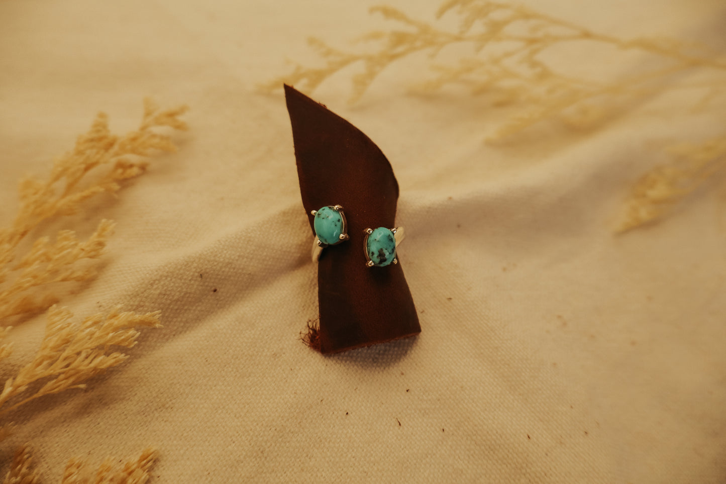 The Charlotte Ring