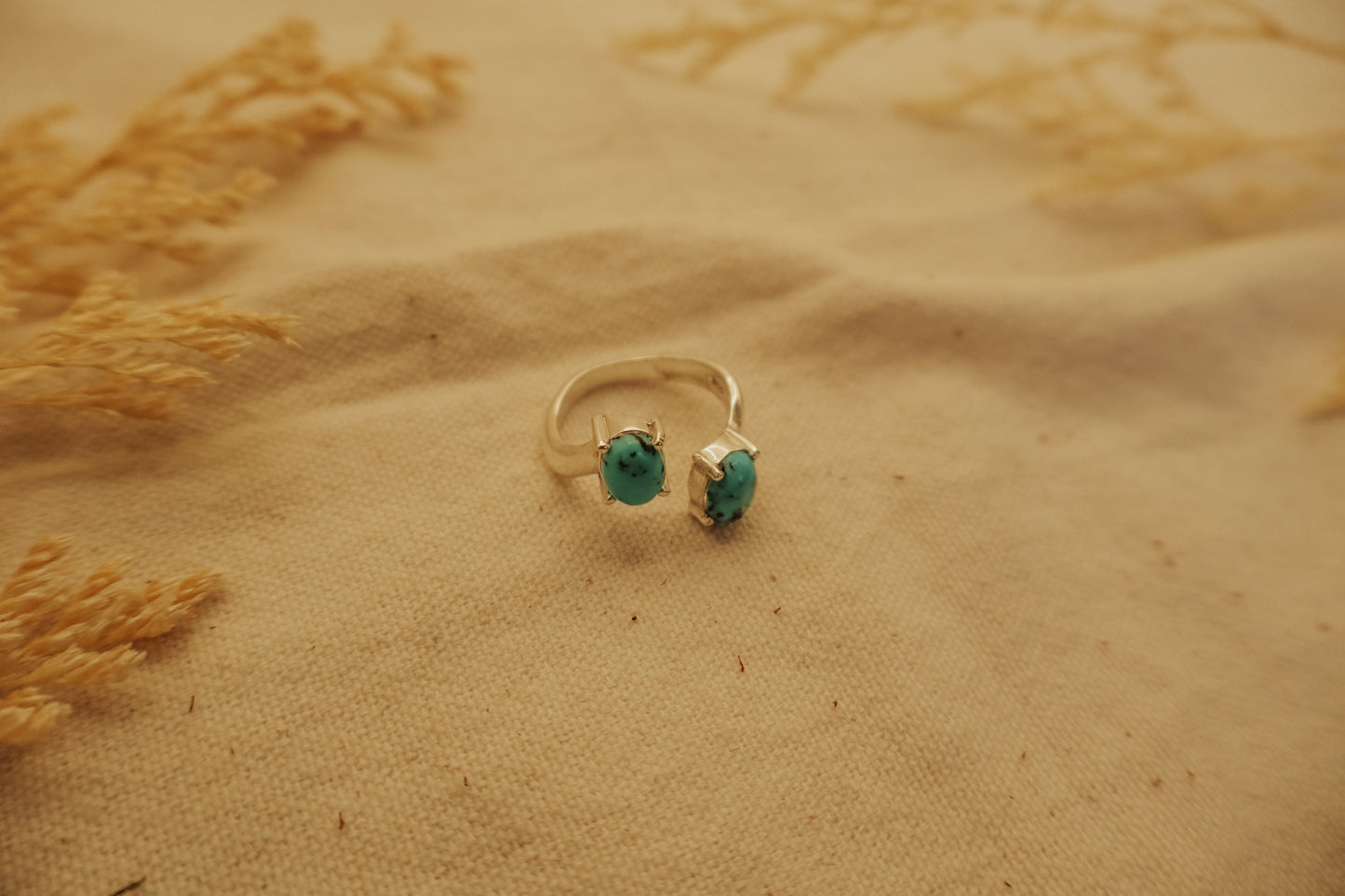 The Charlotte Ring