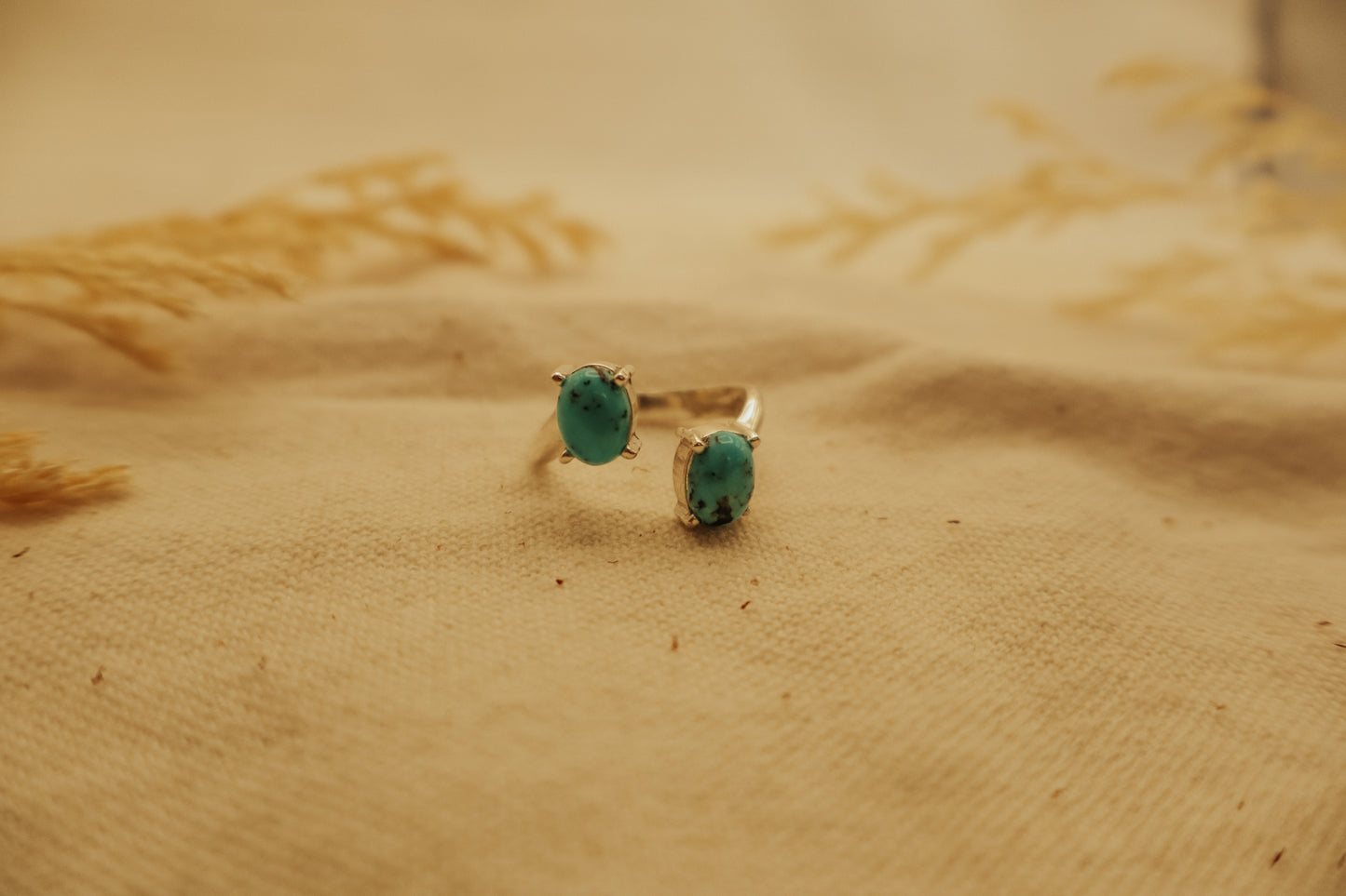 The Charlotte Ring