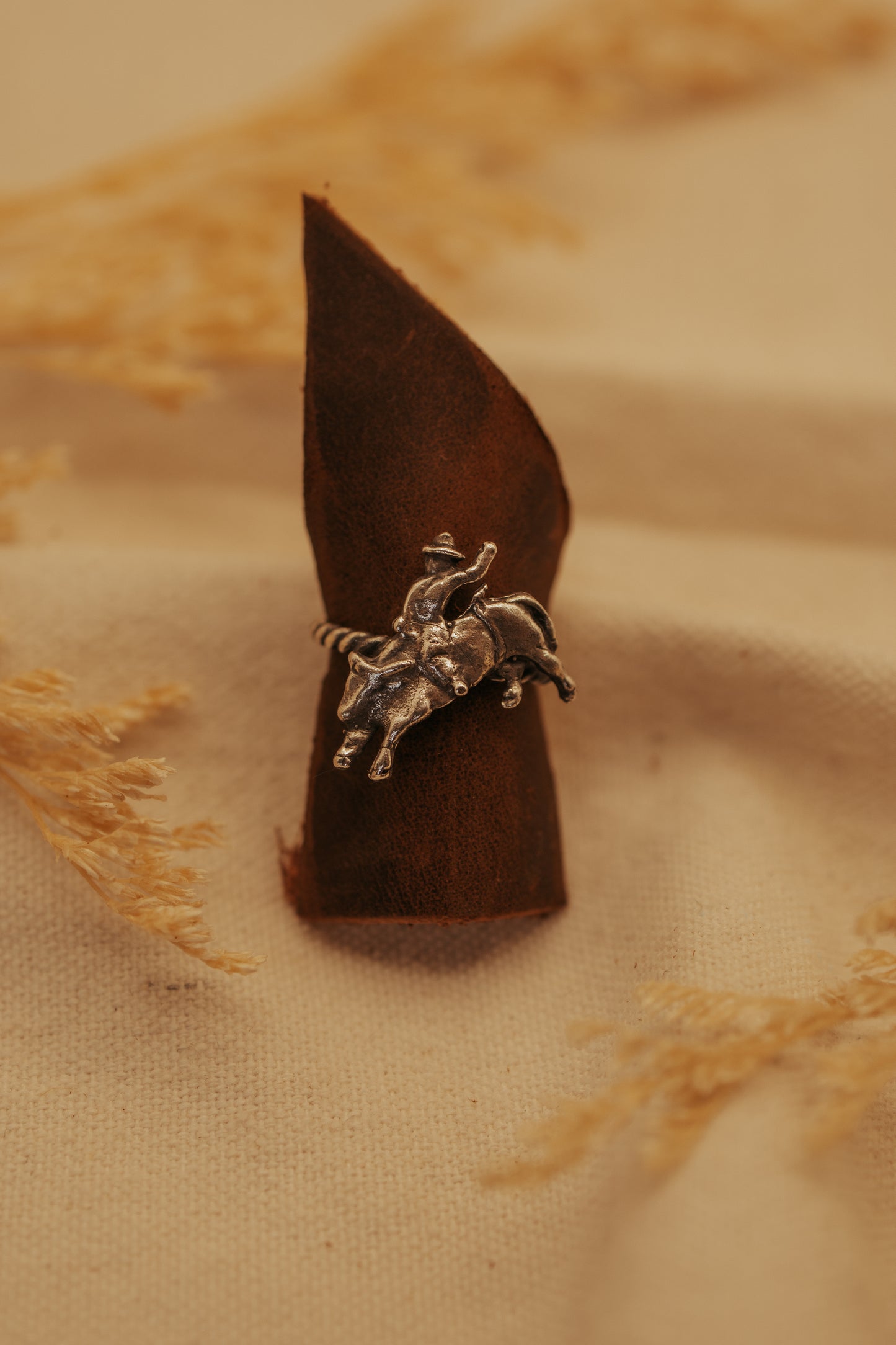 The Rodeo Ring