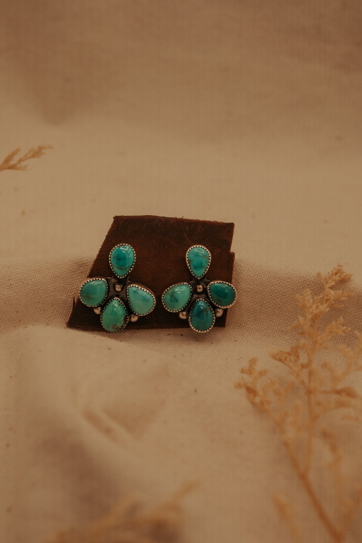The Naomi Cluster Studs