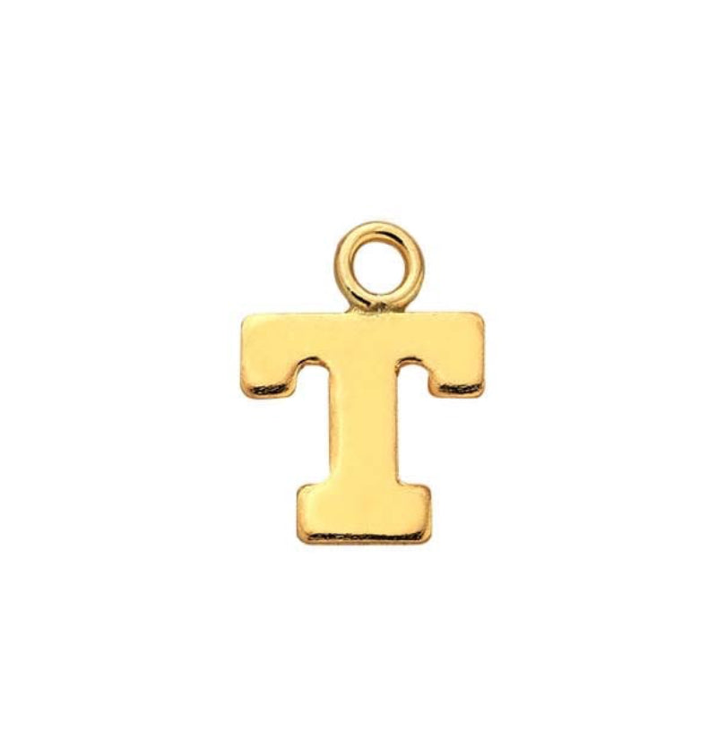 CUSTOM Charm Necklace - 14k Gold Fill