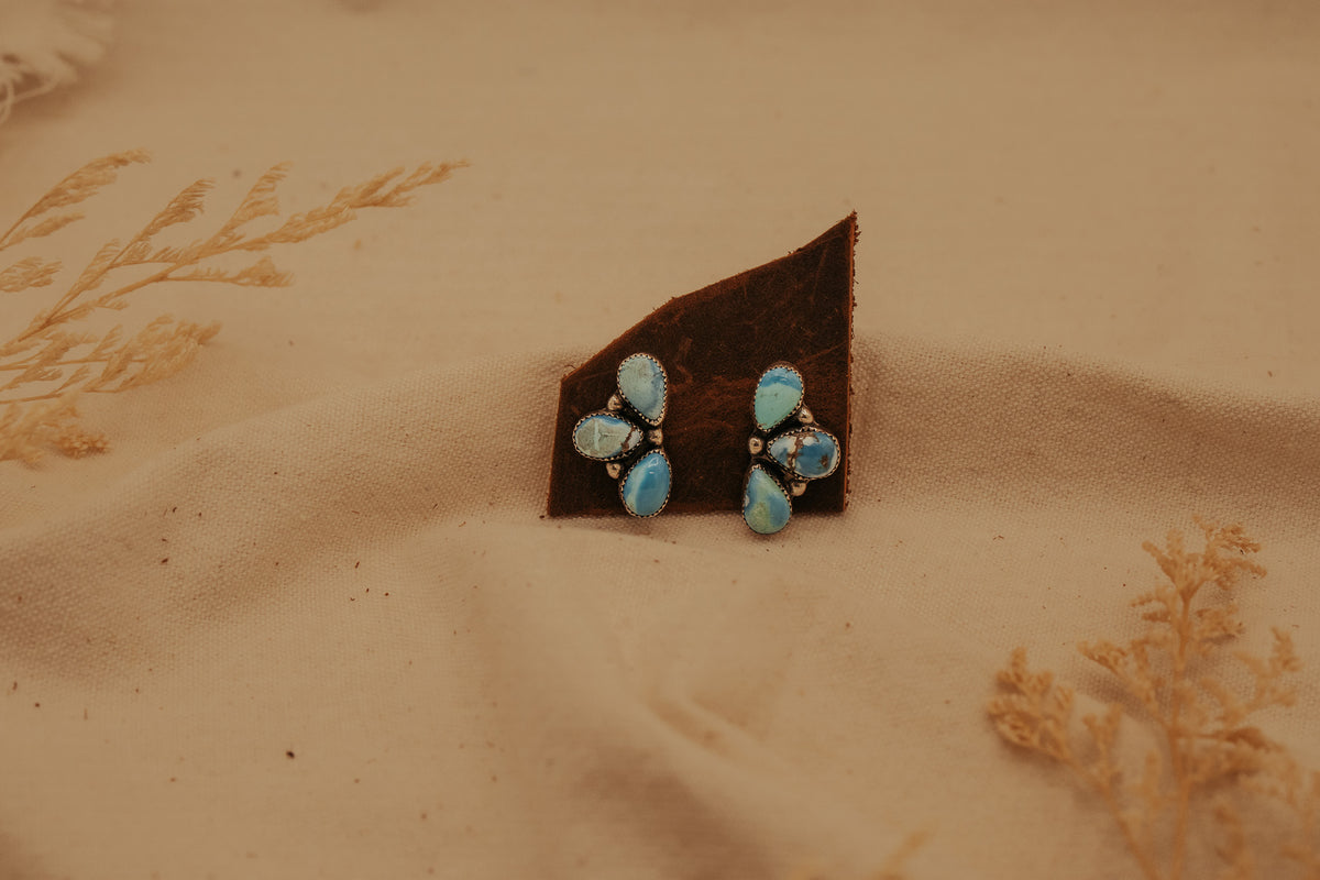 The Salvia Cluster Studs