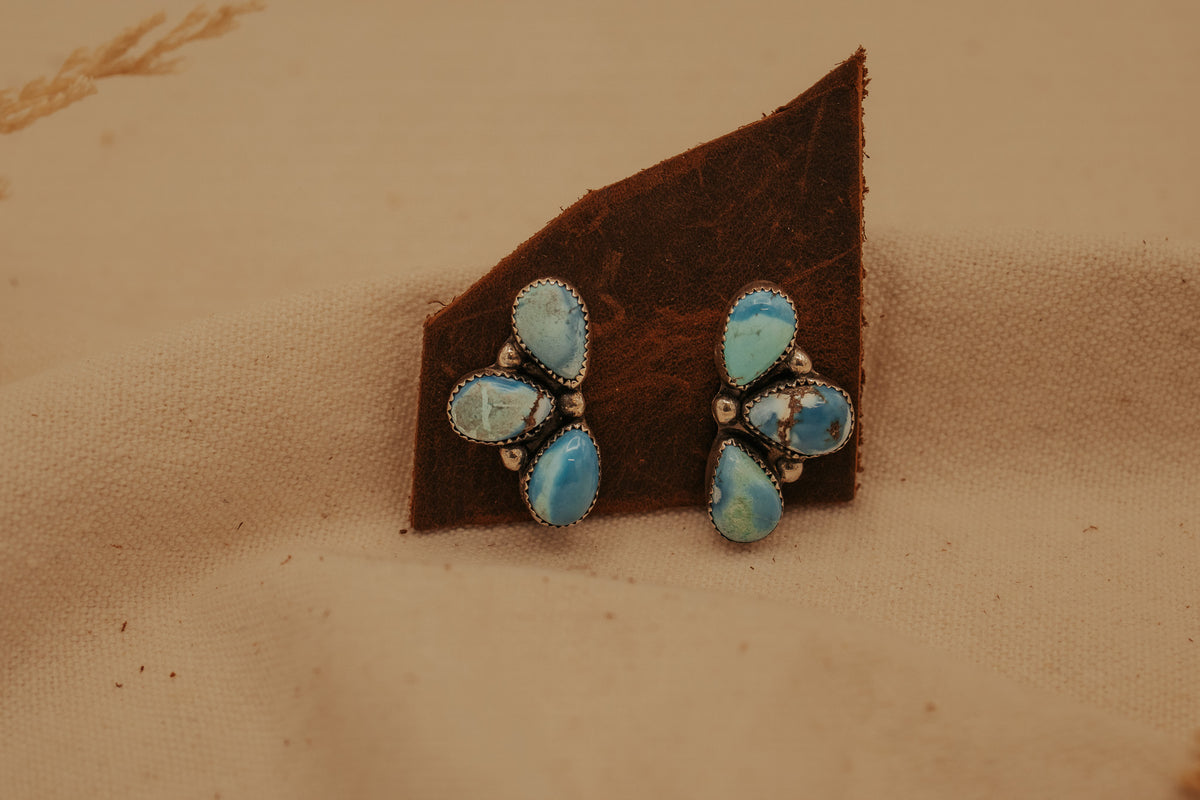 The Salvia Cluster Studs