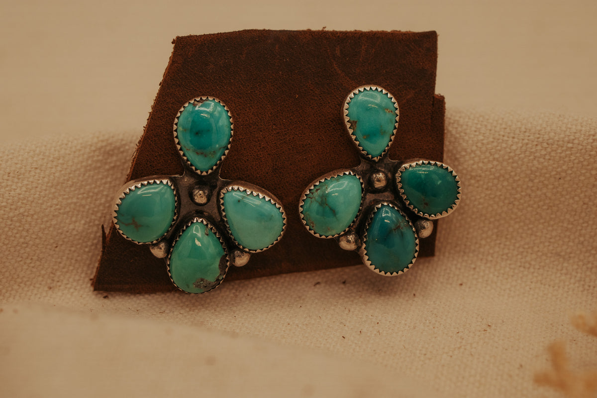 The Naomi Cluster Studs