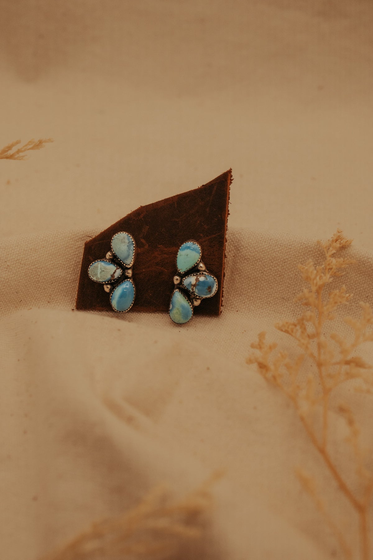 The Salvia Cluster Studs