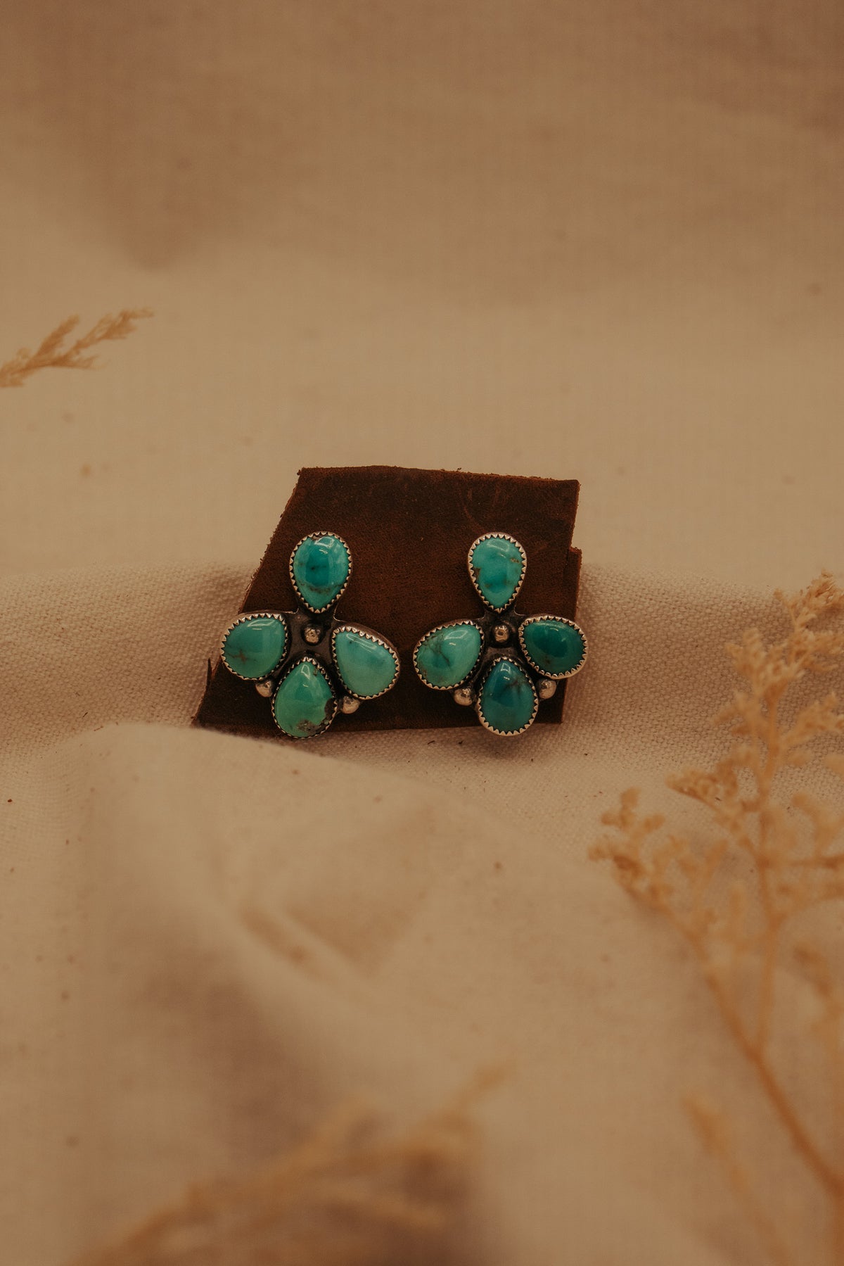 The Naomi Cluster Studs