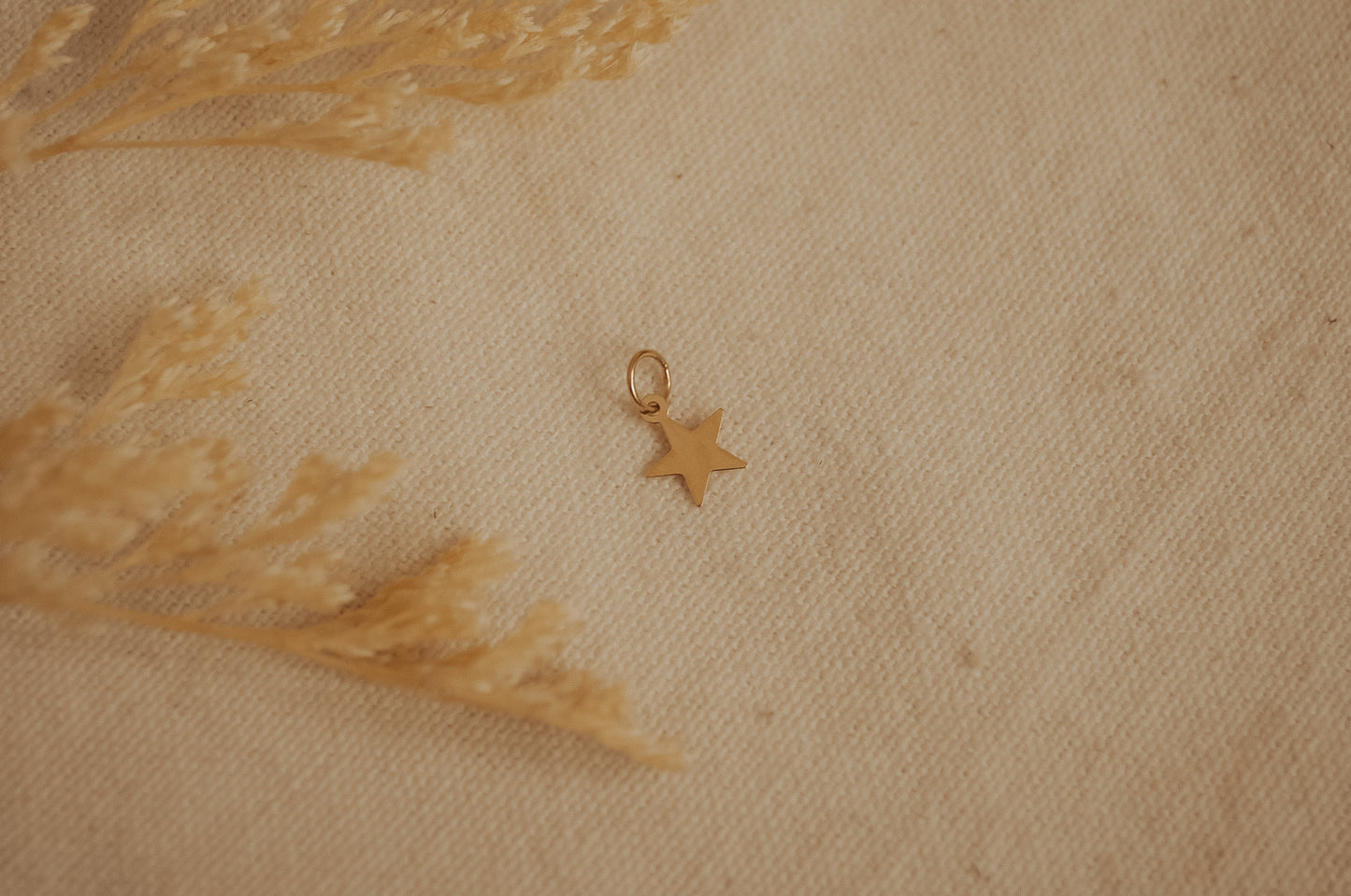 The Gold Fill Star Charm