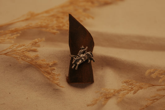 The Rodeo Ring