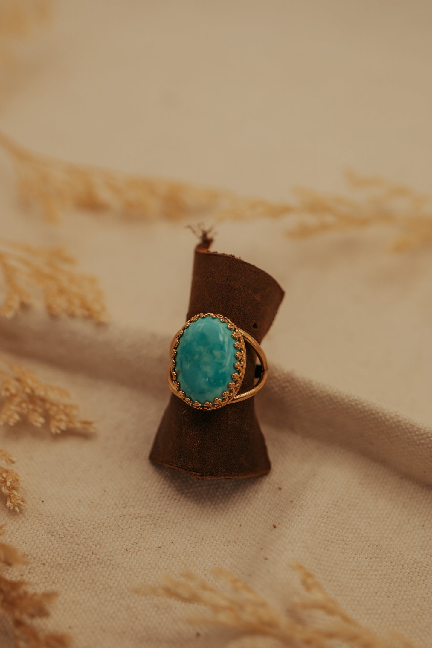 The Cheyenne Ring