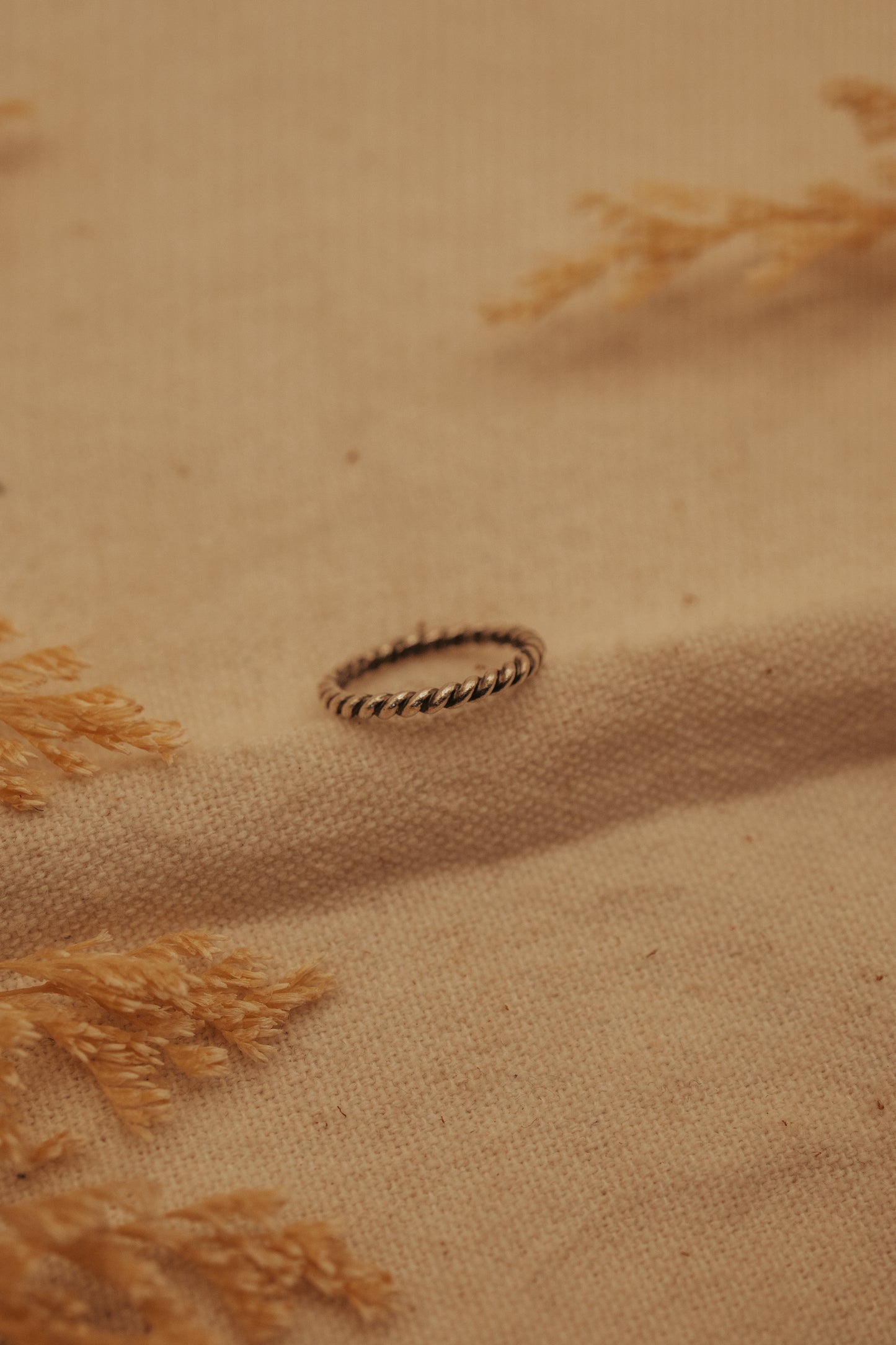 The Twisted Rope Ring