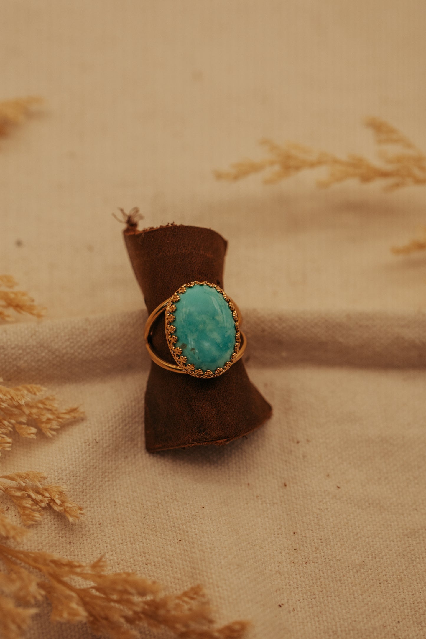 The Cheyenne Ring
