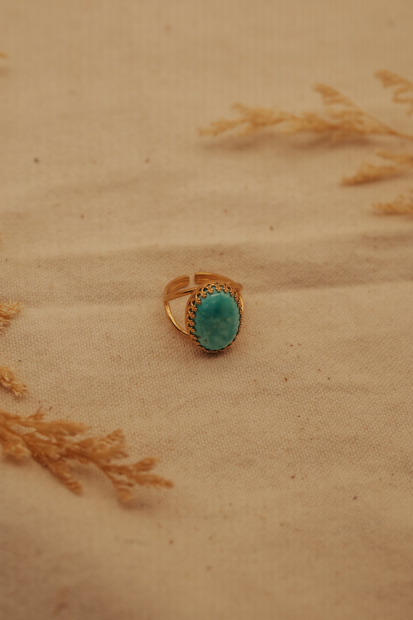The Cheyenne Ring