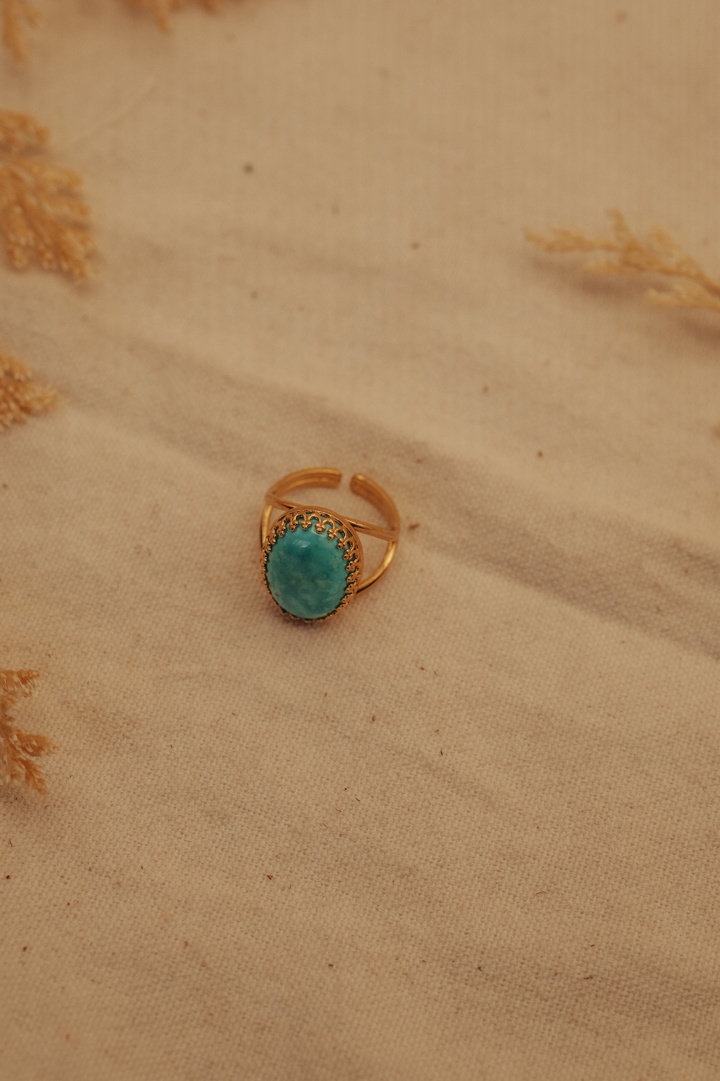 The Cheyenne Ring