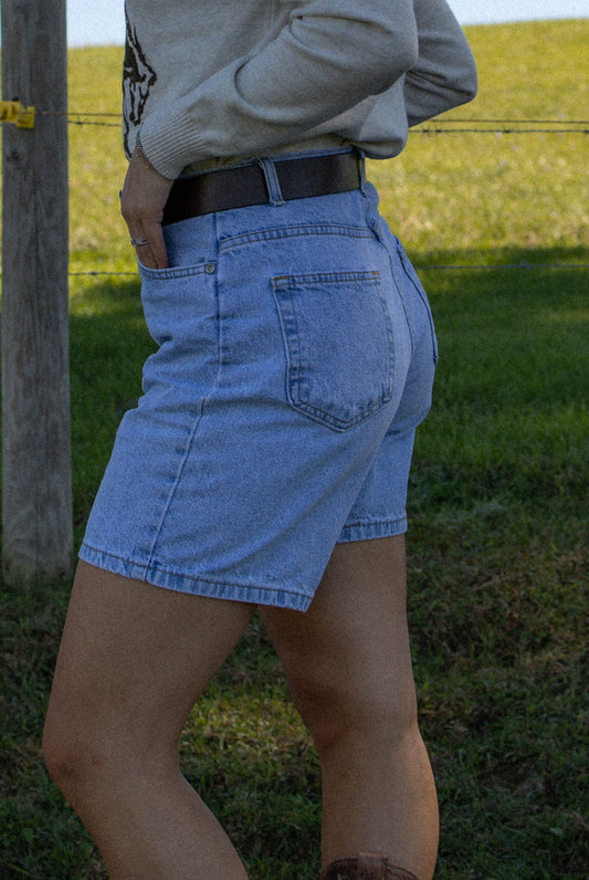 The Jolene Shorts - size 10 (fits like 4/6)