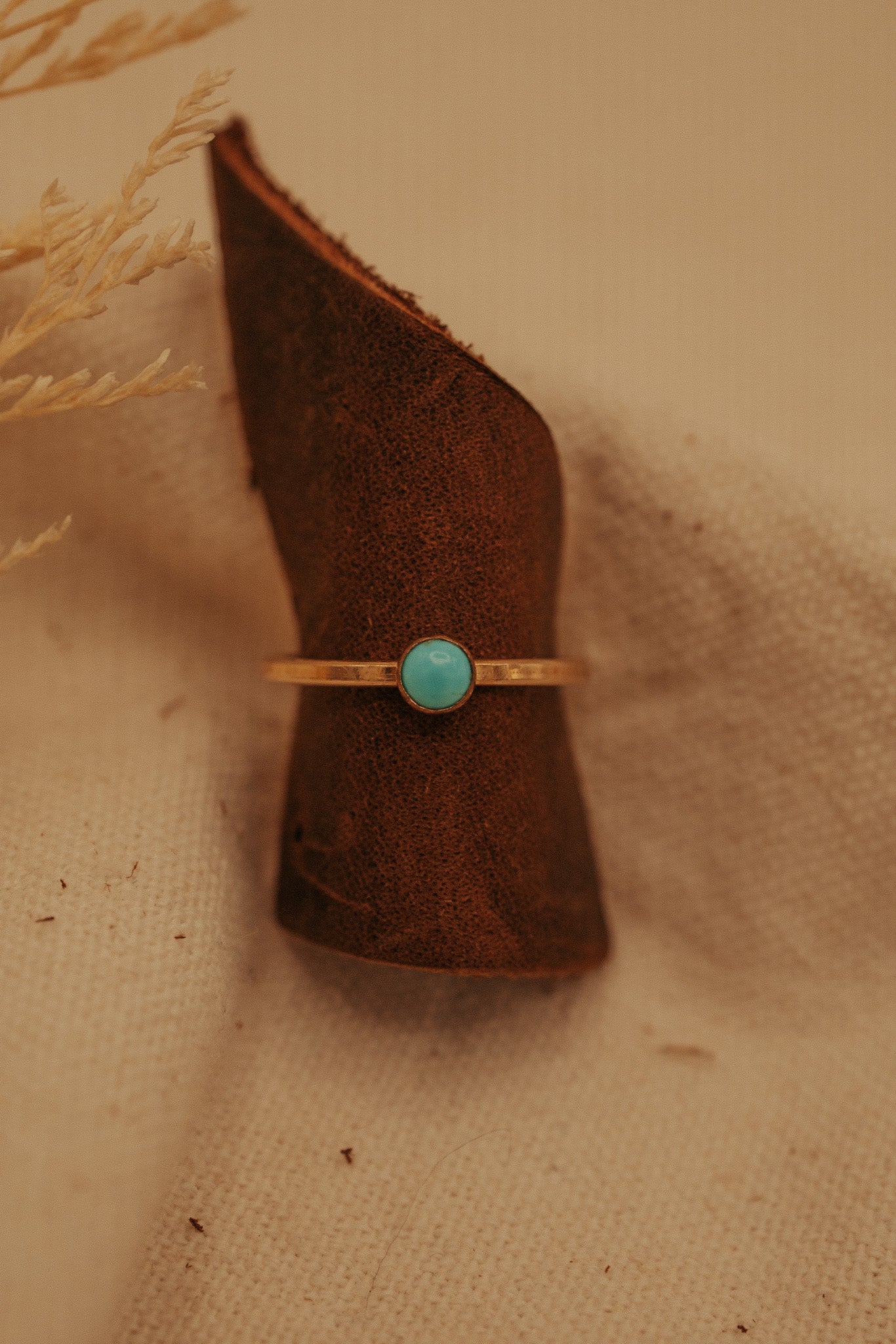 The Amelia Ring