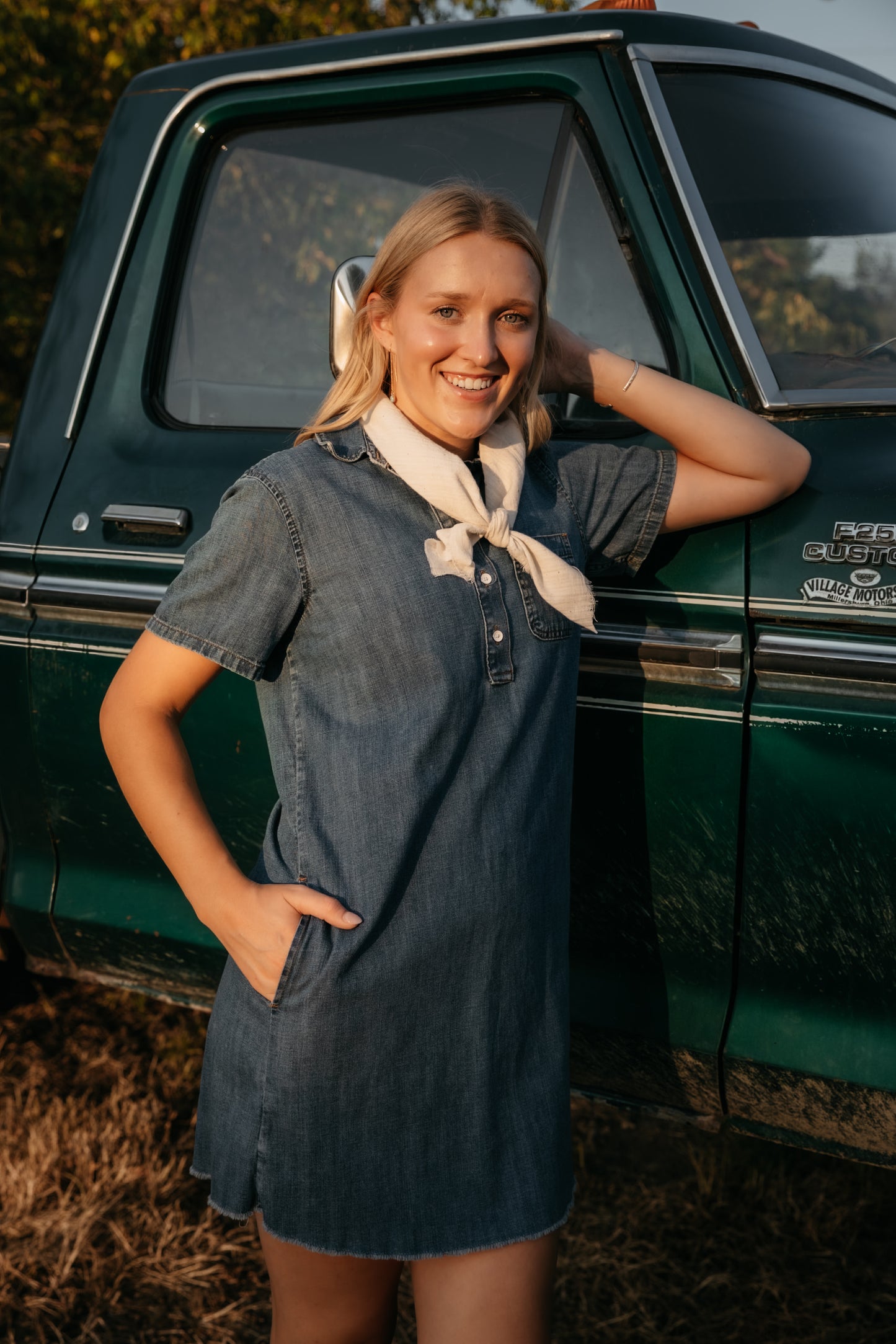 The Dakota Denim Dress - size small