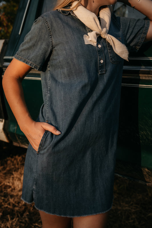 The Dakota Denim Dress - size small
