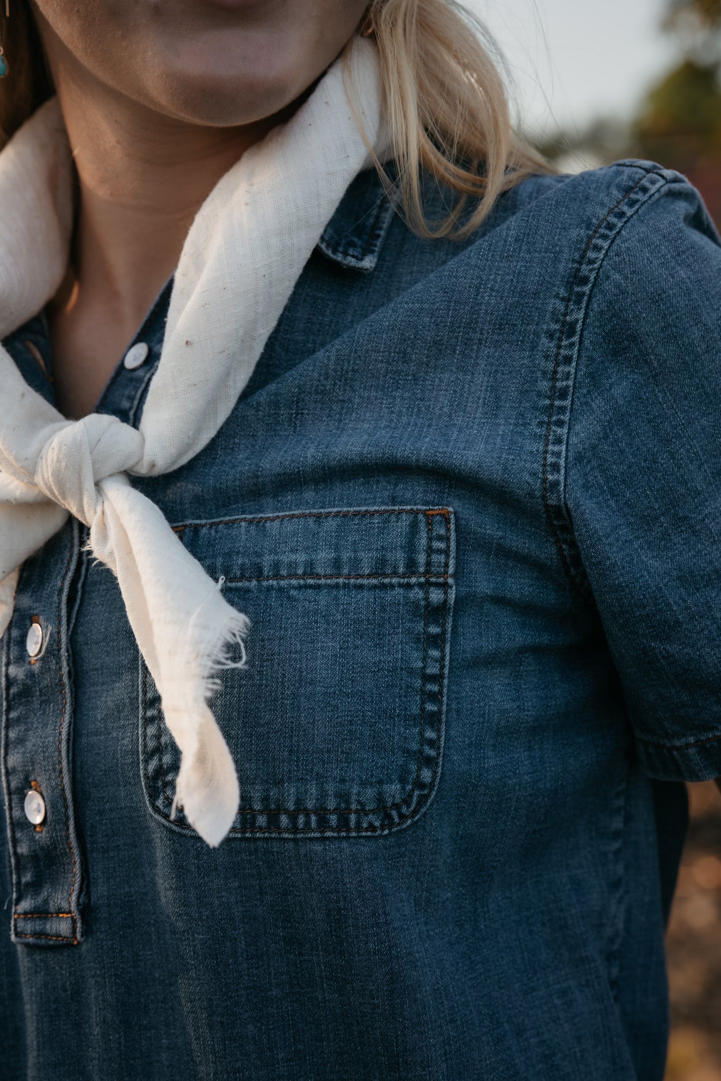 The Dakota Denim Dress - size small