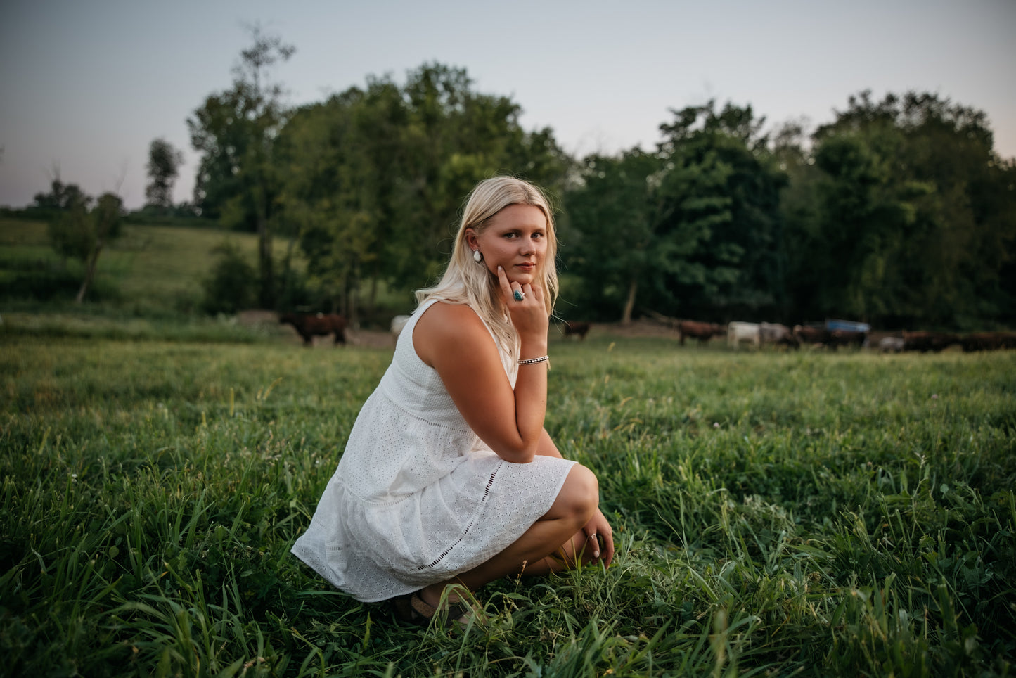 The Wren Dress - size medium